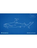 Ultimate Fishing Simulator - Thailand DLC * STEAM RU