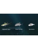 Ultimate Fishing Simulator - New Fish Species DLC