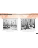 The Art of NORCO DLC * STEAM RU АВТО 0