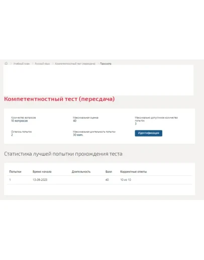 Русский язык.Компетентностный тест Синергия/МТИ 2023г