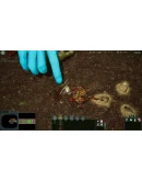 Empires of the Undergrowth * STEAM RU АВТО 0