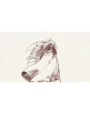 Hello Charlotte: Heaven's Gate DLC * STEAM RU