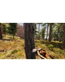 Wild West Dynasty * STEAM RU АВТО 0