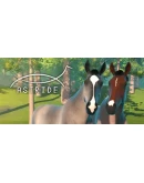 Astride Steam Gift АВТОВЫДАЧА ВСЕ РЕГИОНЫ