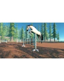 Astride Steam Gift АВТОВЫДАЧА ВСЕ РЕГИОНЫ