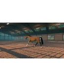 Astride Steam Gift АВТОВЫДАЧА ВСЕ РЕГИОНЫ