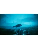 Beasts of Bermuda Steam Gift АВТОВЫДАЧА ВСЕ РЕГИОНЫ