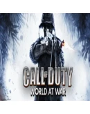 Call of Duty: World at War Steam Gift АВТО РОССИЯ