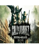 Call of Juarez: Bound in Blood Steam GiftАВТО РОССИЯ