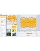 Infinite Pattern АВТОДОСТАВКА STEAM GIFT РОССИЯ