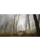 Nowhere: Mysterious Artifacts STEAMRU АВТО 0