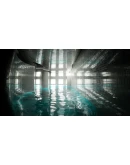 The Backrooms : Last Expdition * STEAM RU АВТО 0