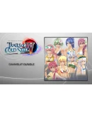 The Legend of Heroes: Trails of Cold Steel IV - Swimsui
