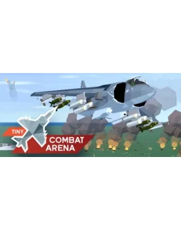 Tiny Combat Arena * STEAM RU АВТО 0