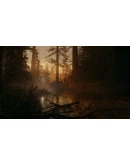 ALAN WAKE 2КЛЮЧ-СРАЗУXBOX SERIES XSКЛЮЧ
