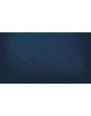 Future Daoshi Steam РУ+UA+KZ+СНГ