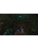 The Cursed Forest * STEAM RU АВТО 0