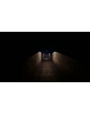 Palmyra Orphanage * STEAM RU АВТО 0