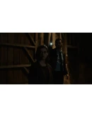 Erica * STEAM РОССИЯ АВТОДОСТАВКА 0 КАРТЫ