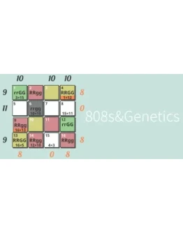 808s&ampGenetics STEAM KEY REGION FREE GLOBAL ROW