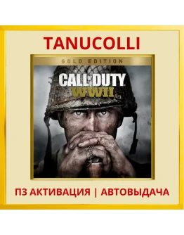 Call of Duty WWII Gold Edt (PS4/PS5/RU) П3 Активация