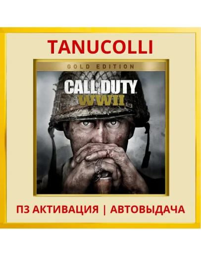 Call of Duty WWII Gold Edt (PS4/PS5/RU) П3 Активация