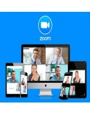 Zoom One Pro подписка. Зум про месяц/год, легко!