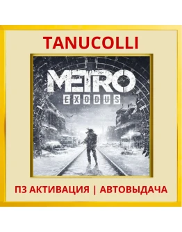 Metro exodus (PS4/PS5/RU) П3 - Активация