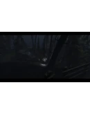 Within Skerry * STEAM РОССИЯ АВТОДОСТАВКА 0 КАРТЫ