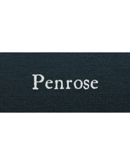 Penrose * STEAM РОССИЯ АВТОДОСТАВКА 0 КАРТЫ