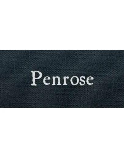 Penrose * STEAM РОССИЯ АВТОДОСТАВКА 0 КАРТЫ