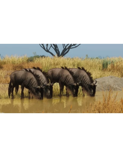 Planet Zoo: Grasslands Animal Pack Steam DLC