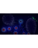 Microcosmum: survival of cells * STEAM RU АВТО 0