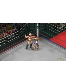 Fire Pro Wrestling World - Yoshihiro Takayama Charity D