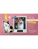 Sudocats * STEAM РОССИЯ АВТОДОСТАВКА 0 КАРТЫ