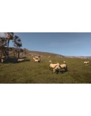 Ancient Cities * STEAM RU АВТО 0