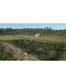 Ancient Cities * STEAM RU АВТО 0