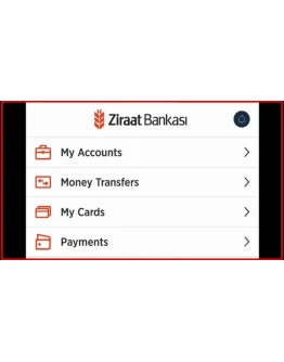 Настраиваем Ziraat на доступ из-за границы