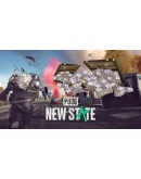 Авто выдача PUBG: New State ДЕШЕВО Global 0 NC
