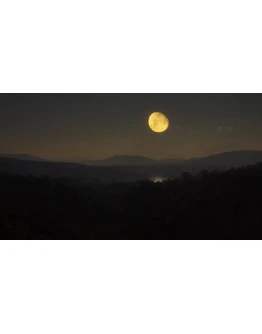 theHunter: Call of the Wild - Parque Fernando DLC theHunter: Call of the Wild - Parque Fernando DLC