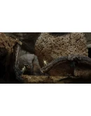 Seedlings * STEAM РОССИЯ АВТОДОСТАВКА 0 КАРТЫ