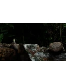 Seedlings * STEAM РОССИЯ АВТОДОСТАВКА 0 КАРТЫ