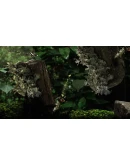 Seedlings * STEAM РОССИЯ АВТОДОСТАВКА 0 КАРТЫ