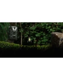 Seedlings * STEAM РОССИЯ АВТОДОСТАВКА 0 КАРТЫ