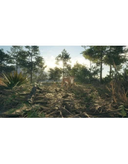 theHunter: Call of the Wild - Rancho del Arroyo theHunter: Call of the Wild - Rancho del Arroyo