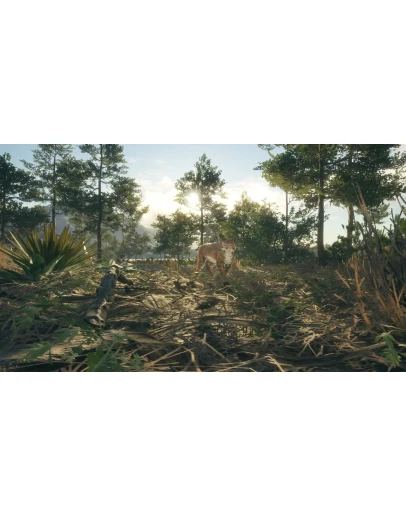 theHunter: Call of the Wild - Rancho del Arroyo