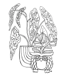 Plant Therapy Coloring Book DLC * STEAM RU АВТО 0