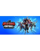 Wild Card Football Steam РУ+UA+KZ+СНГ