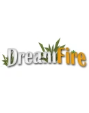 Dream Fire Steam РУ+UA+KZ+СНГ