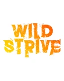 Wildstrive Steam РУ+UA+KZ+СНГ